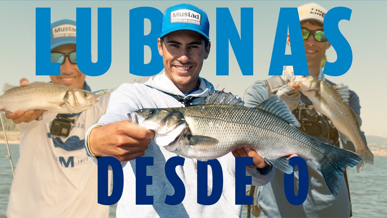 Como pescar LUBINAS 🐟 a SPINNING desde 0 en 10 MIN en GALICIA (todo lo que necesitas saber)