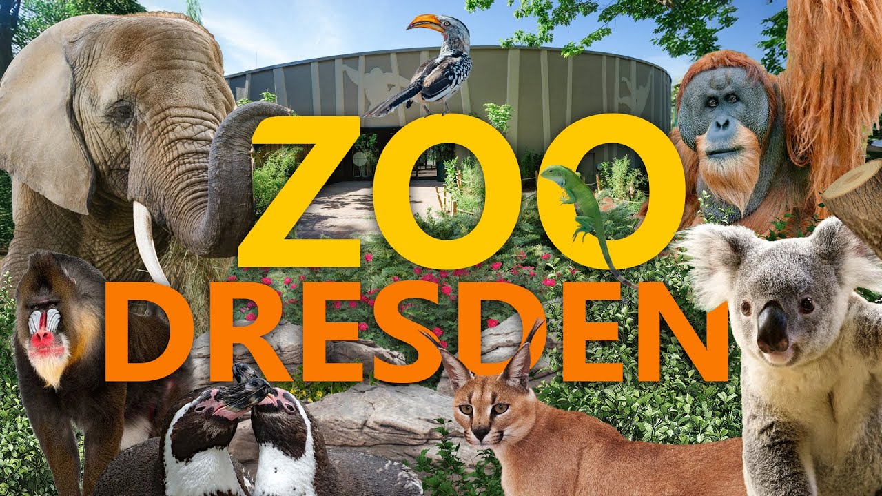 Zoo Dresden | Zoo-Eindruck