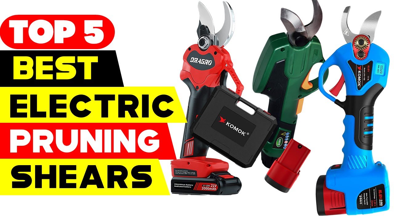 Top 5 Best Electric Pruning Shears 2024 Reviews