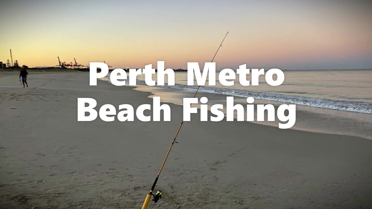 Perth Metro Beach Fishing with a Local Legend! @nolangoesbeachfishing8286