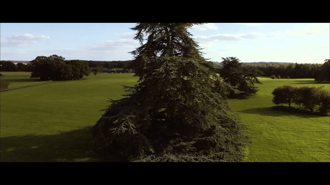 Hildon - Nature gave us perfection, see how we embrace it.