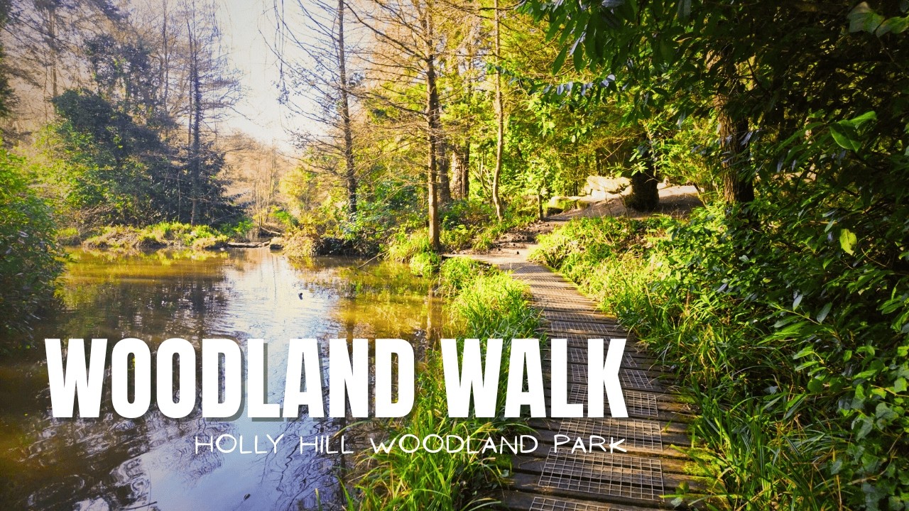 Glucose Dropping On The Trail | Holly Hill Woodland Park