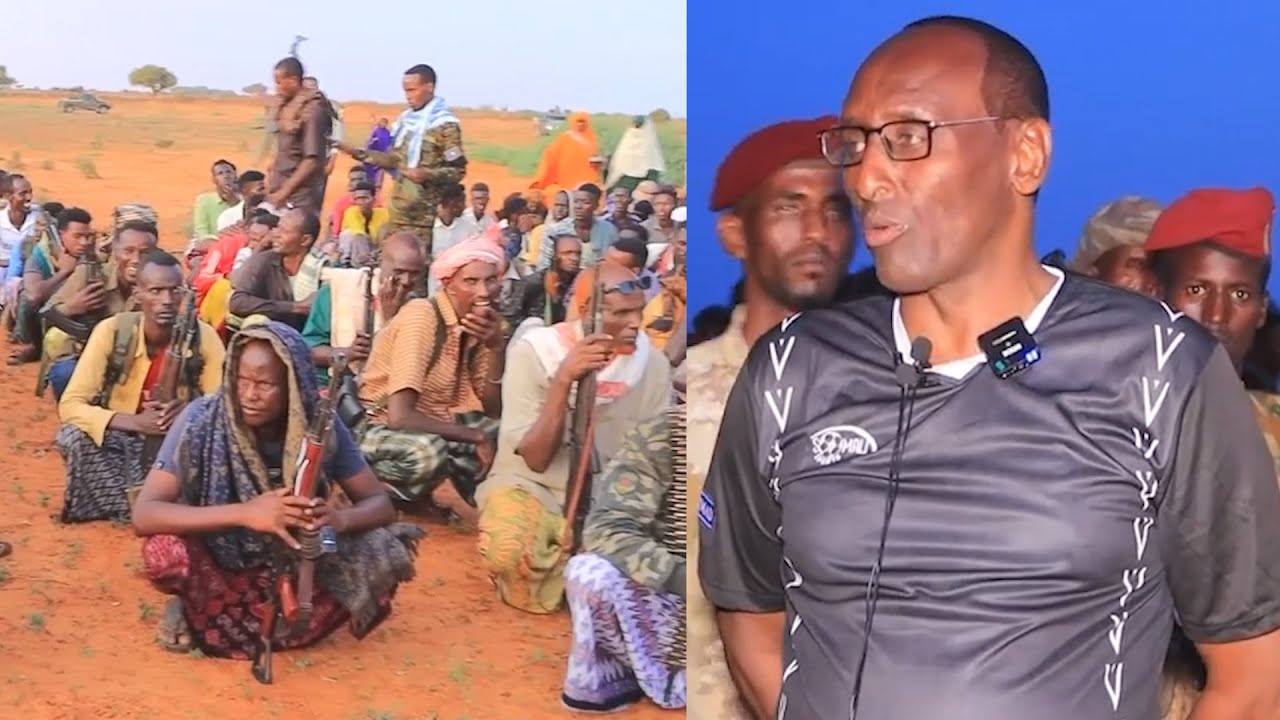 Xildhibaan Kabaale 