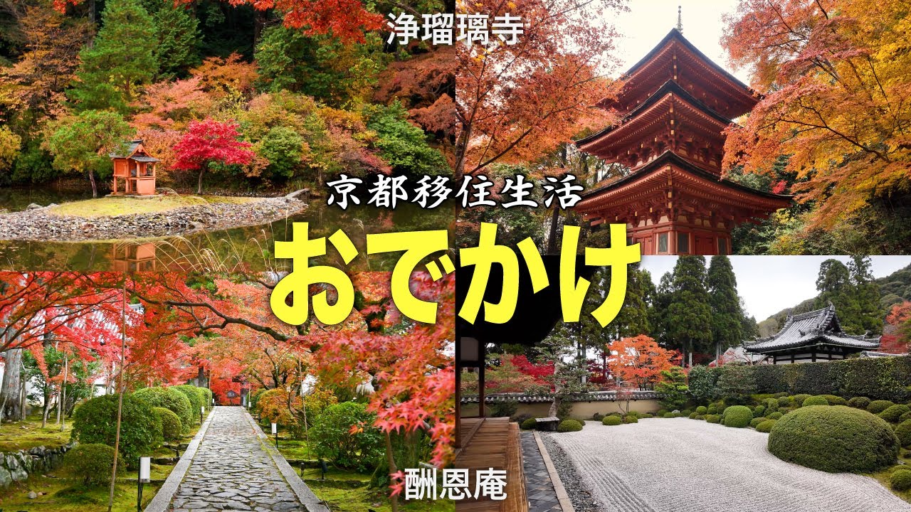 【30代フリーターのVlog】＜前編＞京都移住生活｜京都市外の紅葉｜浄瑠璃寺｜酬恩庵（一休寺）｜日本庭園と宗教建築【No.112】
