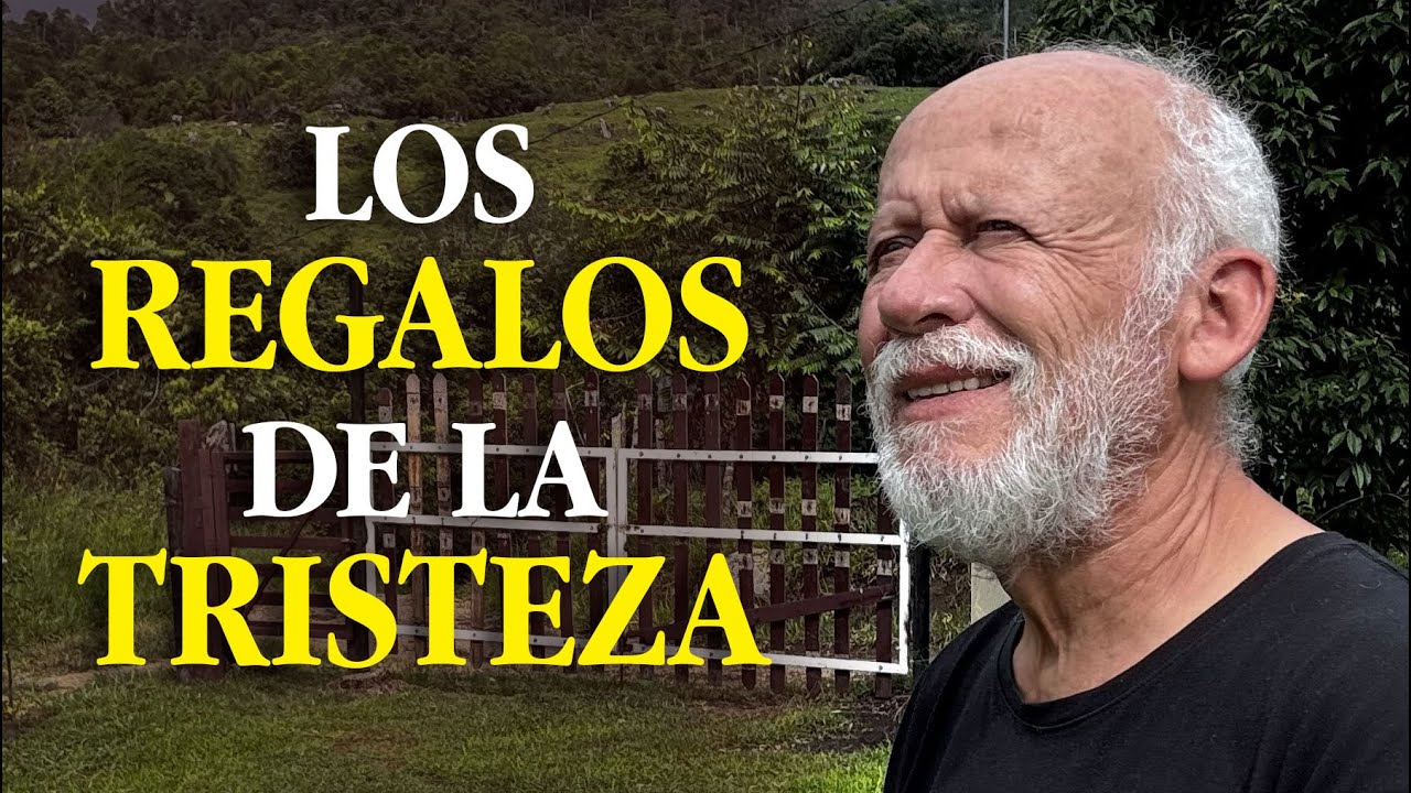 ¿Y si la tristeza fuera maestra,no enemiga?
