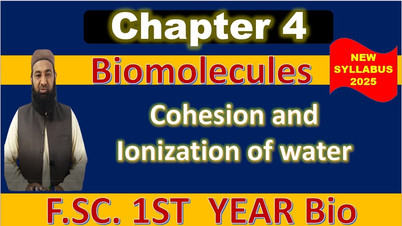 Cohesion and Ionization 