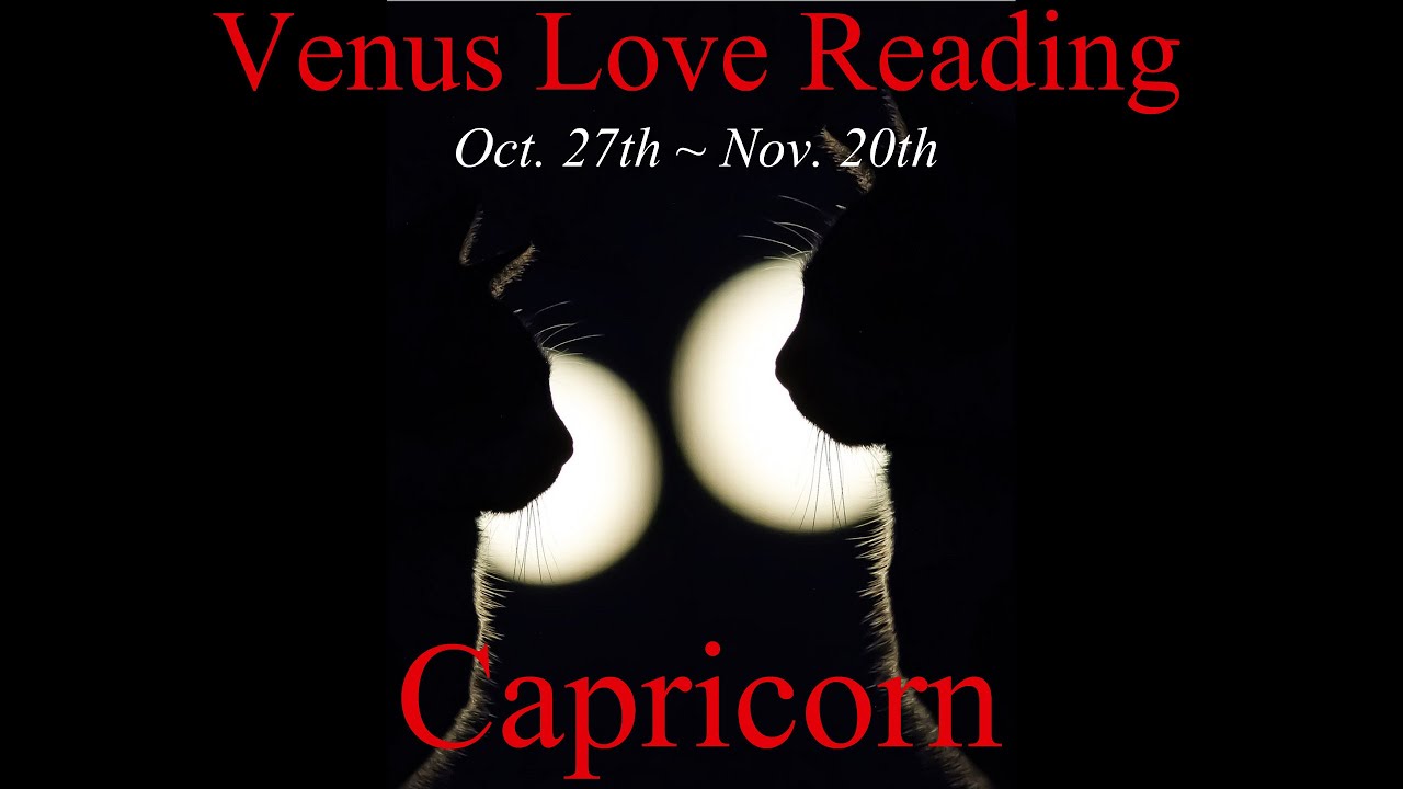 ♑️Capricorn ~ You ARE Soulmates! 💖 Venus Love Reading
