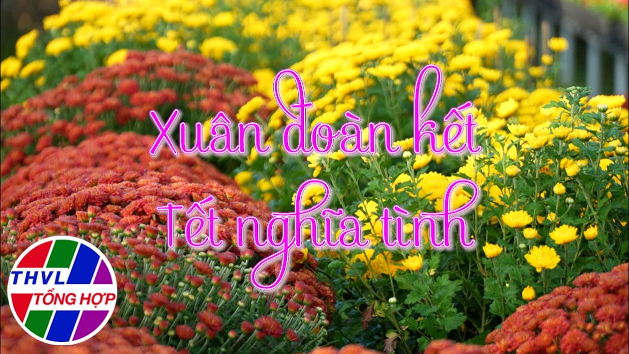 Hoa đẹp giữa đời thường: Xuân đoàn kết - Tết nghĩa tình