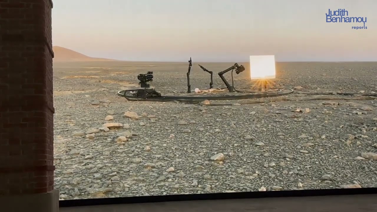 Pierre Huyghe, « Liminal », Punta della Dogana, Venice, March 2024