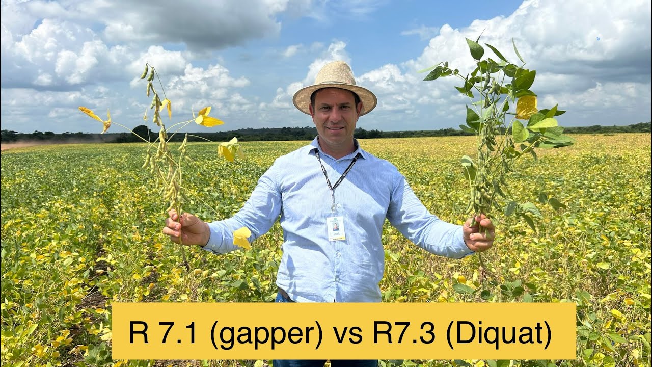 R 7.1 versus 7.3 - Gapper x diquat