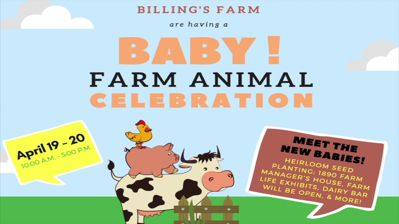 20190328 WCTV8's TV Schedule & Local Bulletin