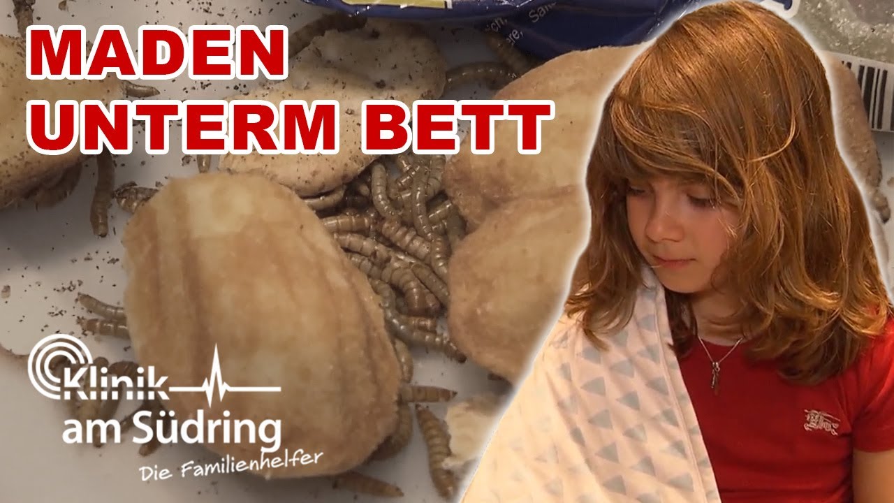 Maden unterm Bett: Warum hortet der 9-Jährige Paul Essen und Maden? | Die Familienhelfer