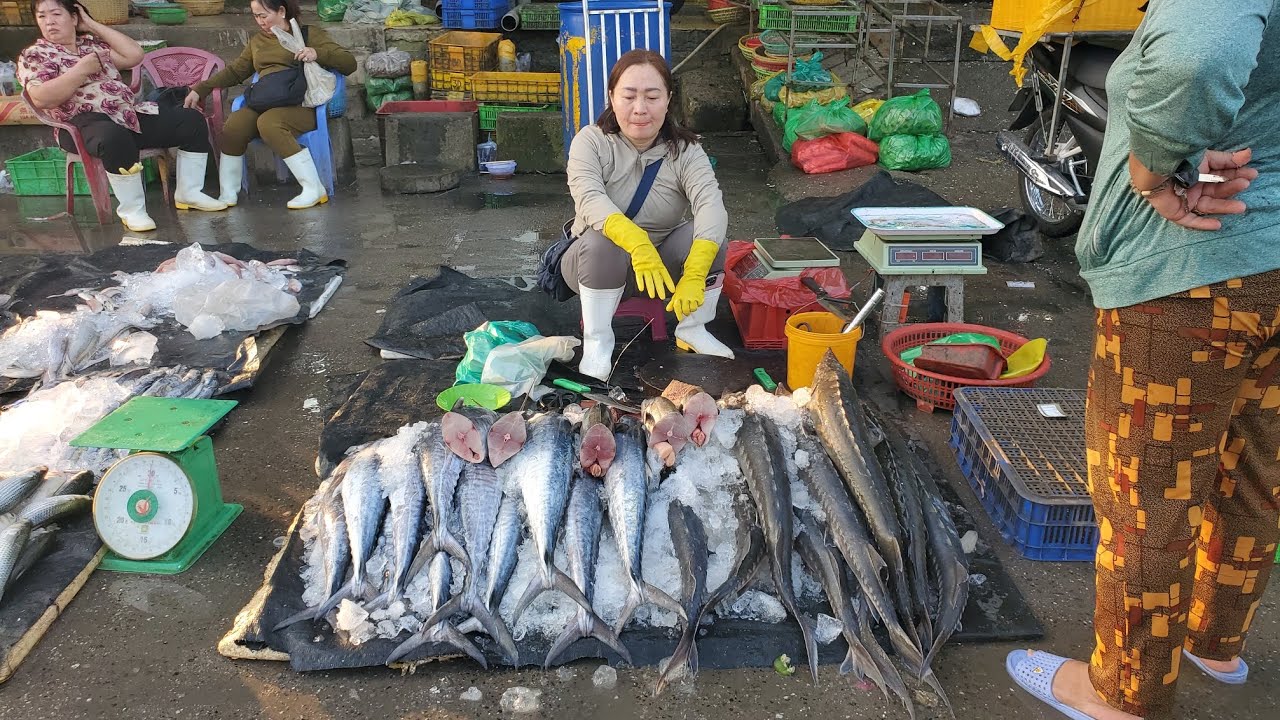 Chợ đầu mối bình điền sáng thứ tư cá lăng 65k cá cơm 30k cá rô bí 20k 