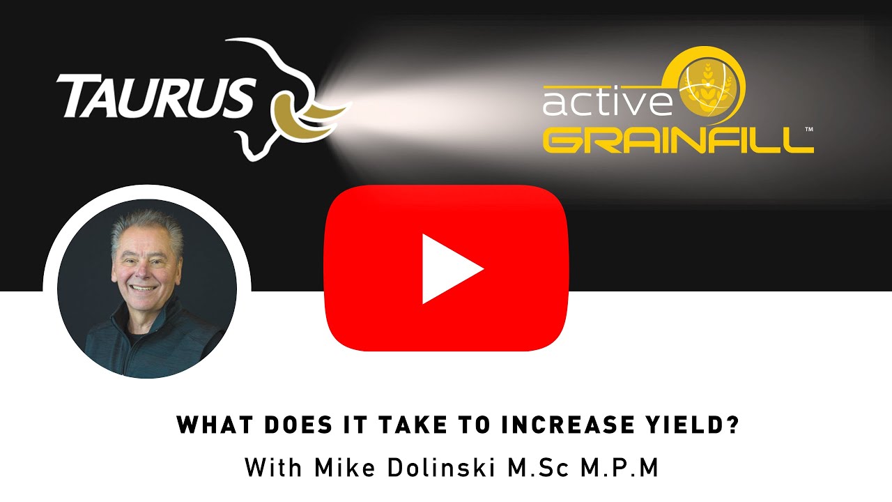 What does it take to increase yield?