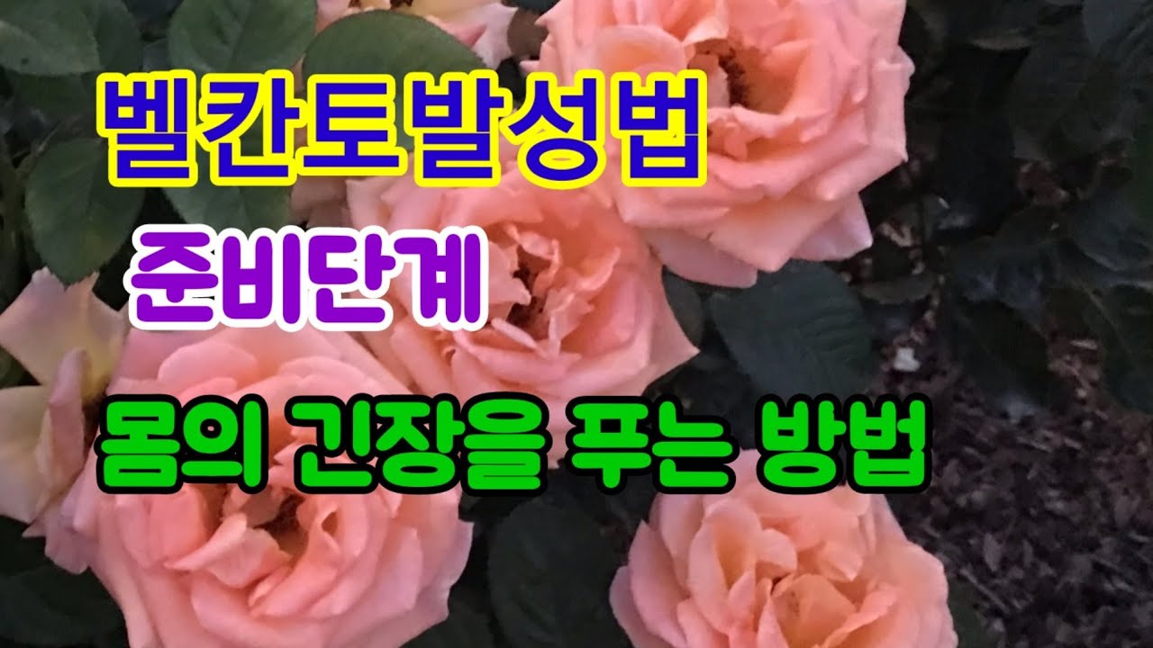 1.몸의 긴장을 풀어라 왕초보를 위한 벨칸토 발성법 준비단계