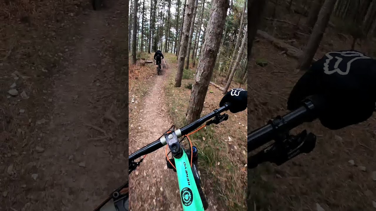 Freeride Cesane Bikepark