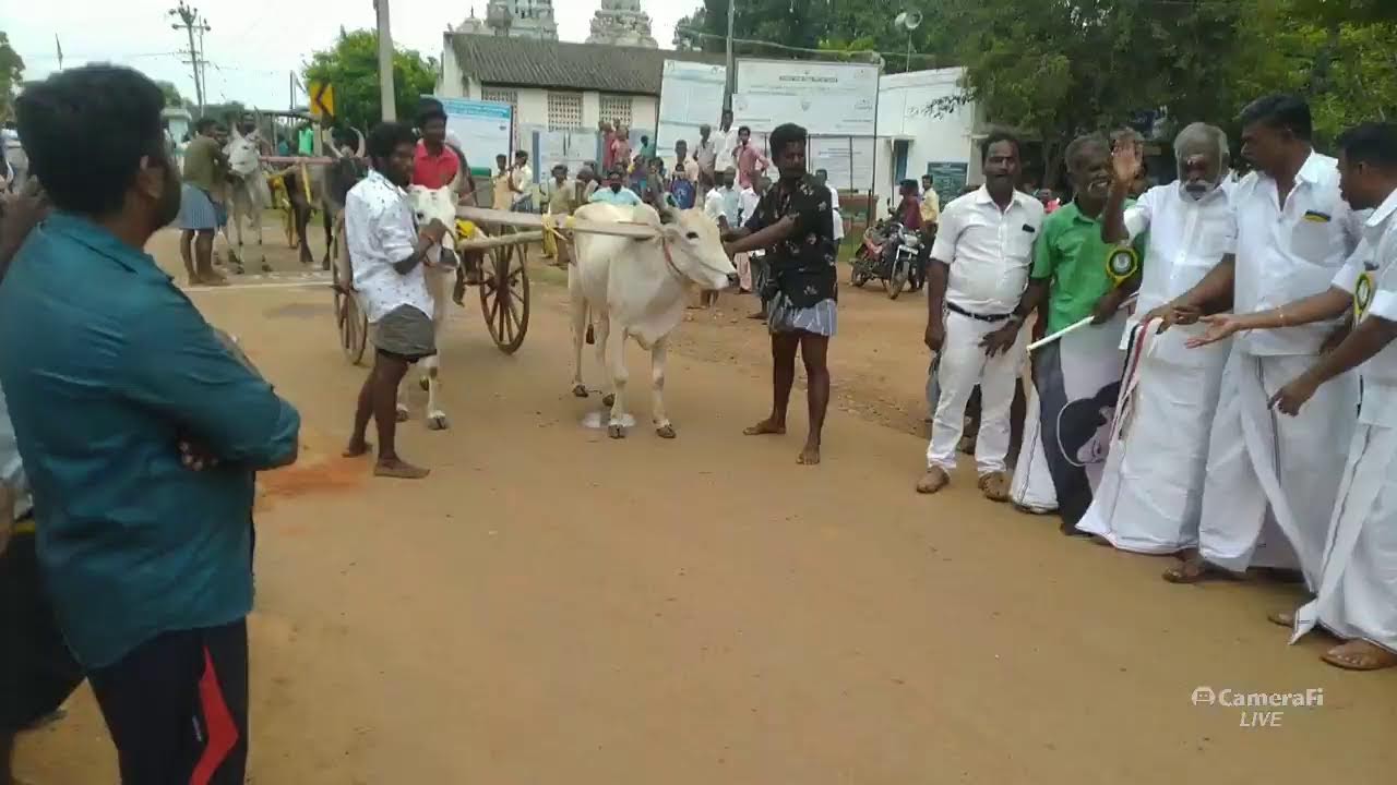 Vetriyur Panthayam Live