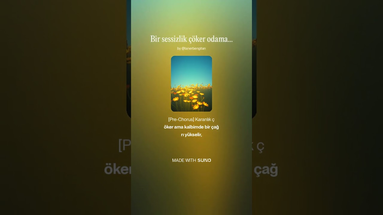 BİR SESSİZLİK ÇÖKER ODAMA GECELERİN