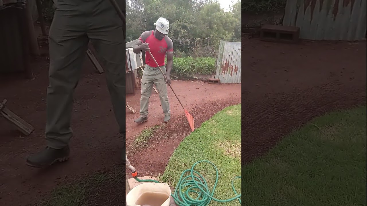 Clean  our  yard  and  garden 