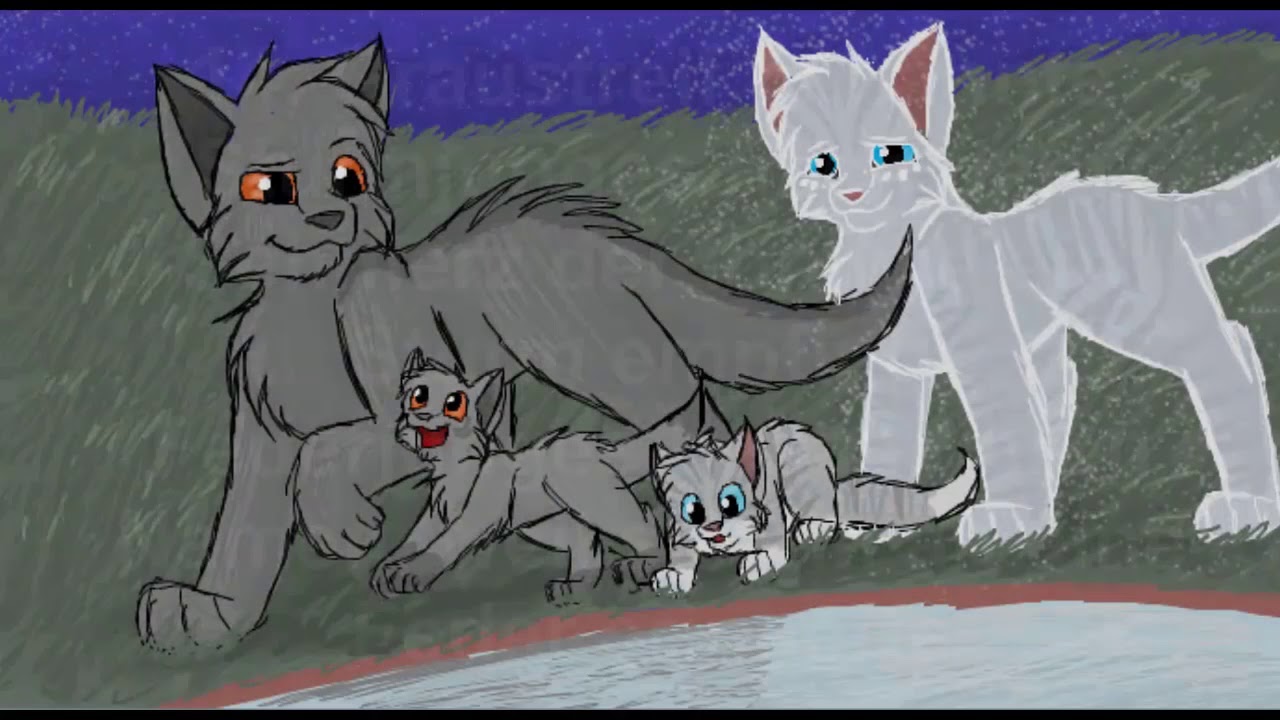 Warrior Cats • 20 Fakten