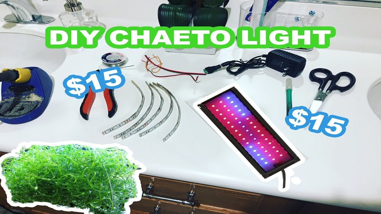 DIY CHAETO LIGHT ( HOW TO)