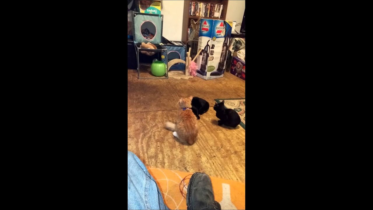 The buddy system