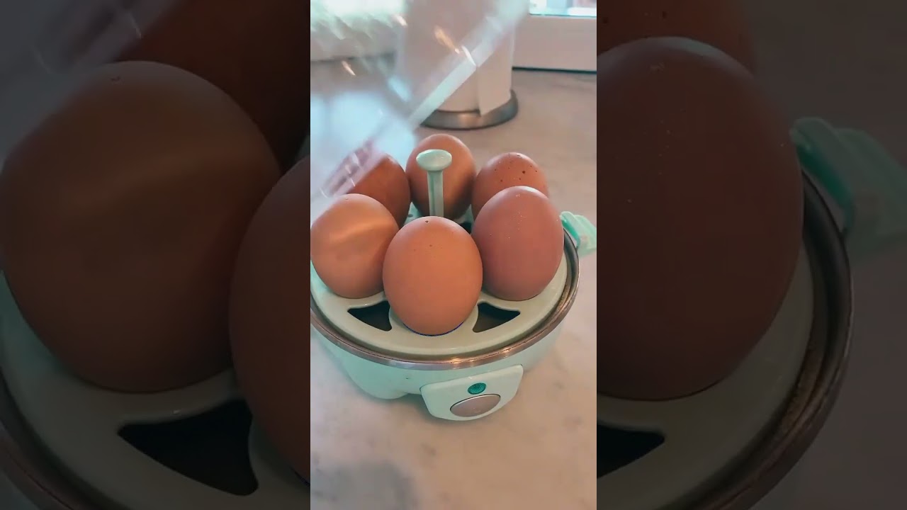 Ultimate Life Hack: Dash Egg Cooker