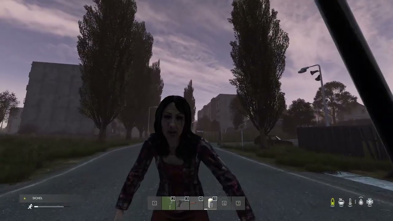[GER/ENG] After-Stream gameplay - MIC muted - Brain afk - DayZ ASMR  - !socials