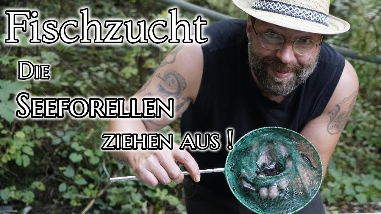 Fischzucht - Neues zuhause für meine Seeforellen - Umsiedlung