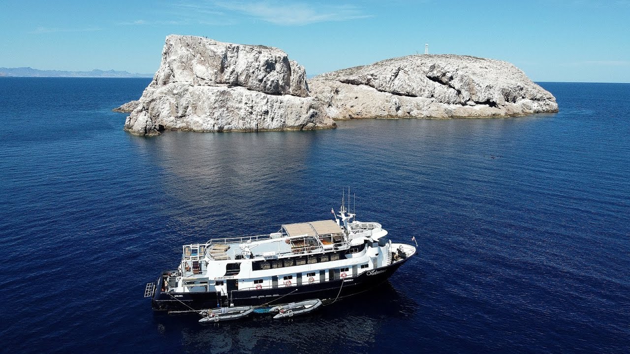 Sea Of Cortez Scuba Diving