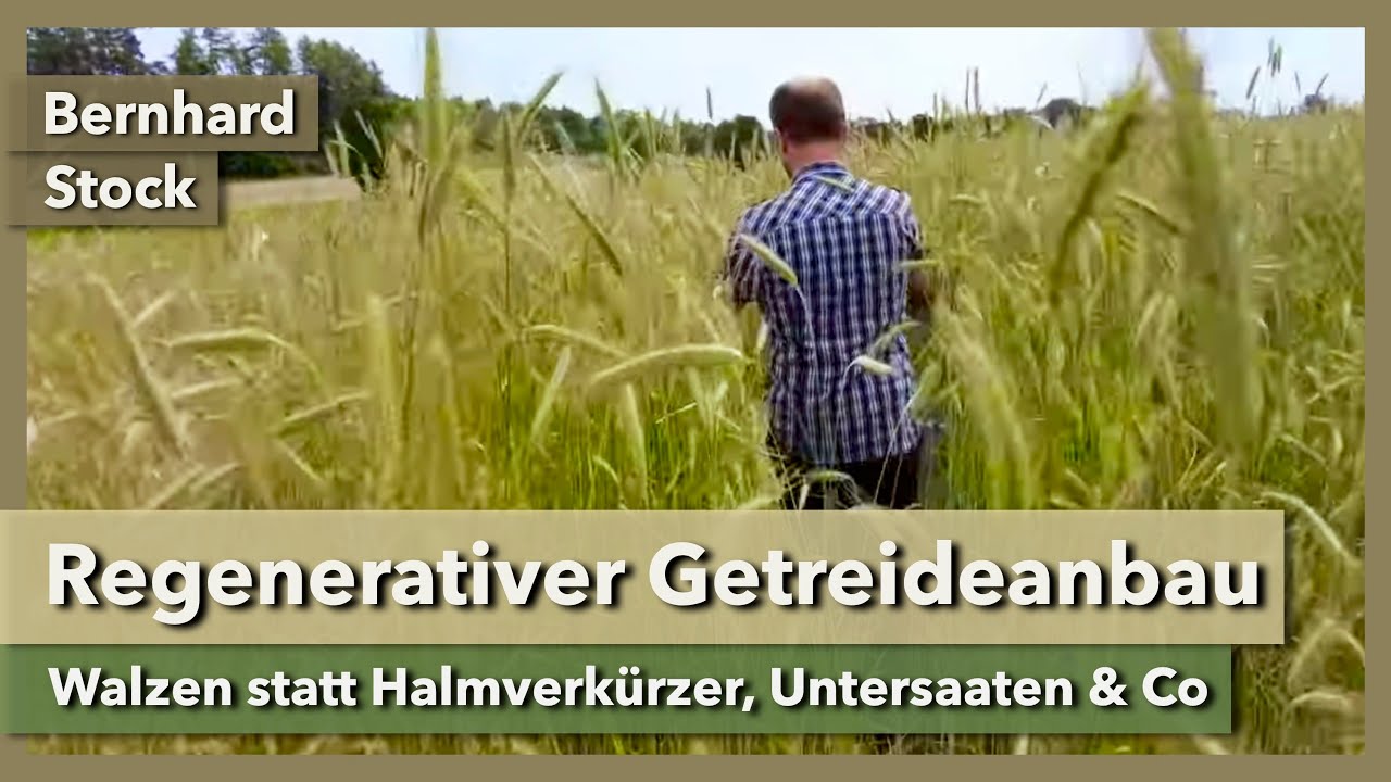 Regenerativer Getreideanbau - Walzen zur Bestockung, Untersaat & Co |&nbsp;Bernhard Stock | Teil 3 | 2023