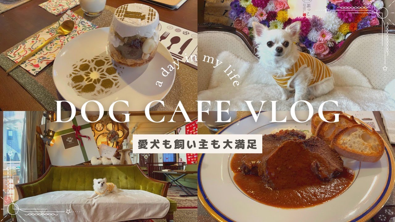 【ドッグカフェ】初めて行ったドッグカフェが最高すぎました【Vlog】