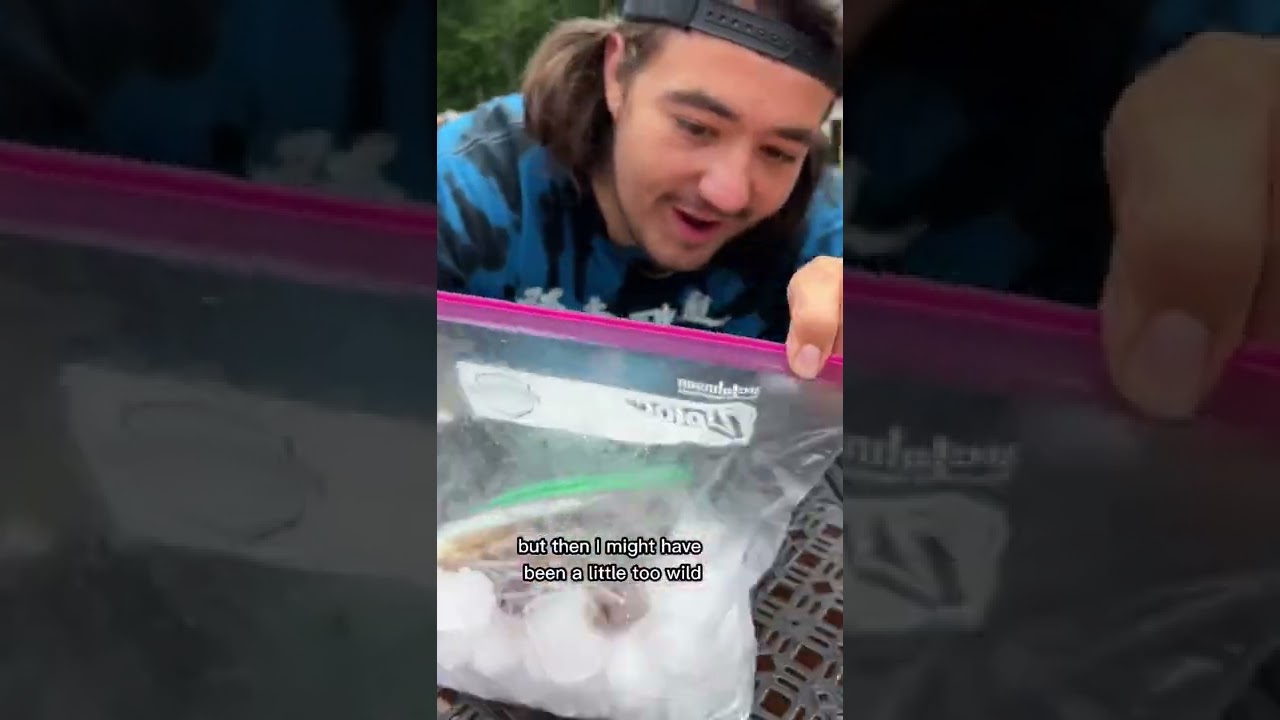 Домашний сляш?!