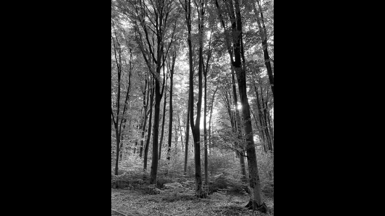 [FREE] Acoustic guitar boom bap type beat - 