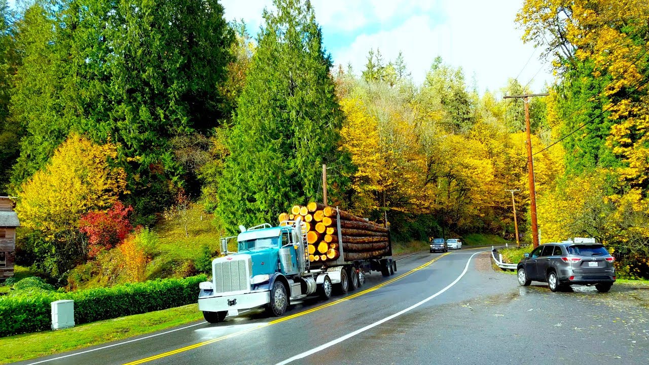 Relaxing driving through Fall Colors Autumn Scenes near Seattle Washington 4K UHD