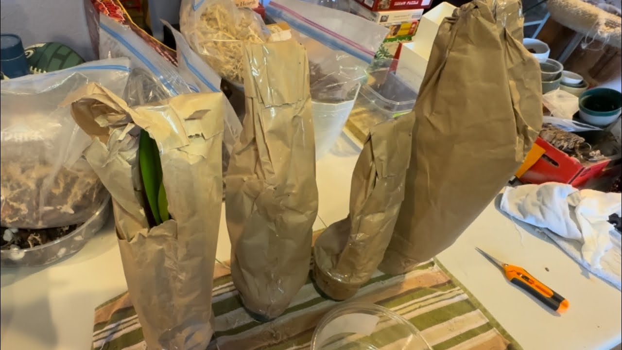 Ecuagenera Unboxing May 2025