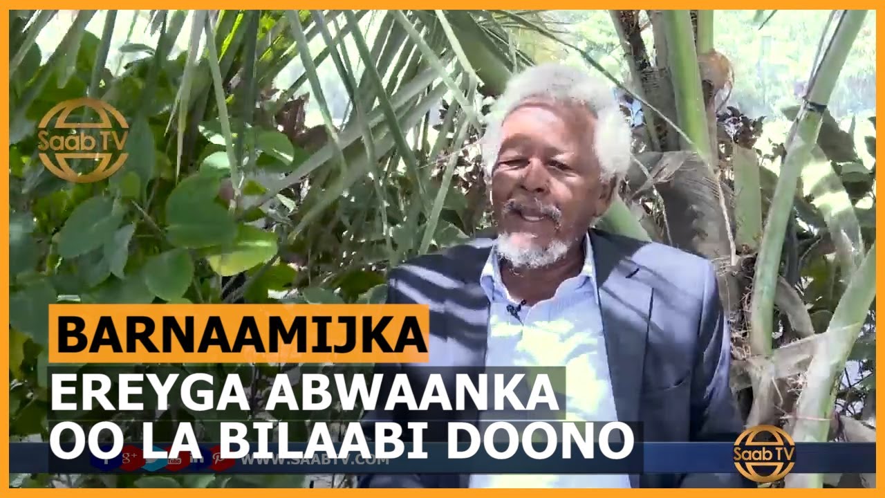 Wareysi Maareeyaha Golaha Murtida iyo Madadaalada Muqdisho | Abwaan Cabdiqaadir Shube