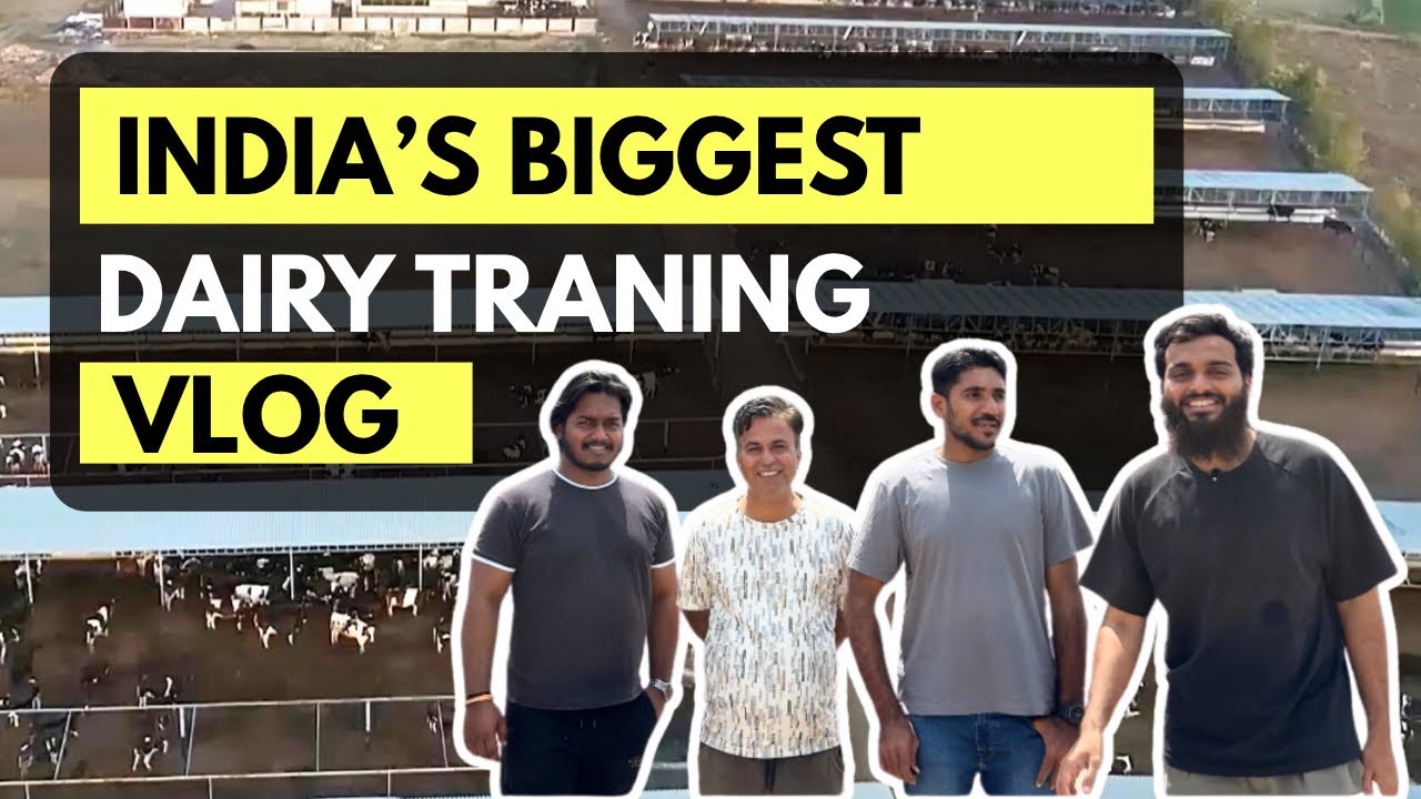 India’s Biggest Dairy Farm Training | 1000 Cows Full Practical Vlog 