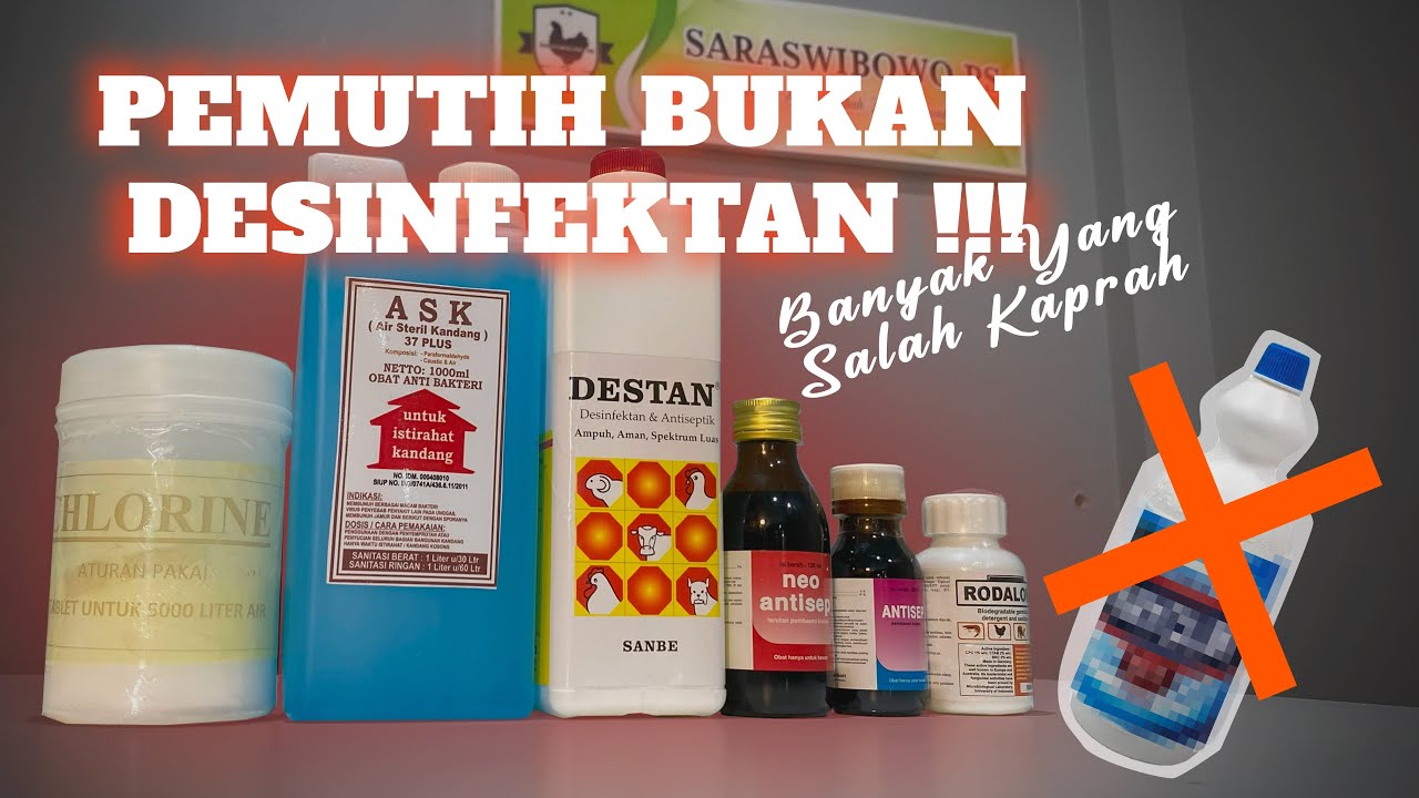 SALAH KAPRAH !! Pemutih Baju Bukan Desinfektan !! Macam-macam desinfektan kandang.