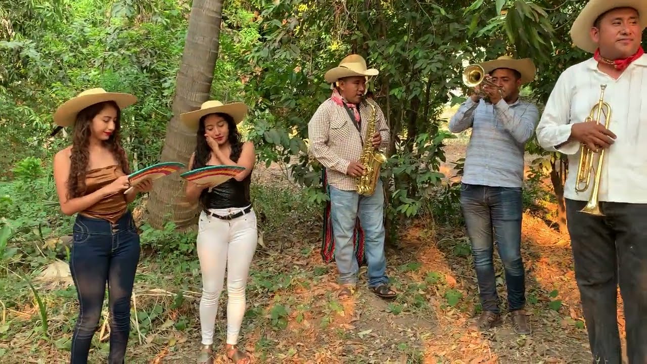 Banda tradicional--Videos de rancho,musica y transmisiones en vivo-Paseo en el campo