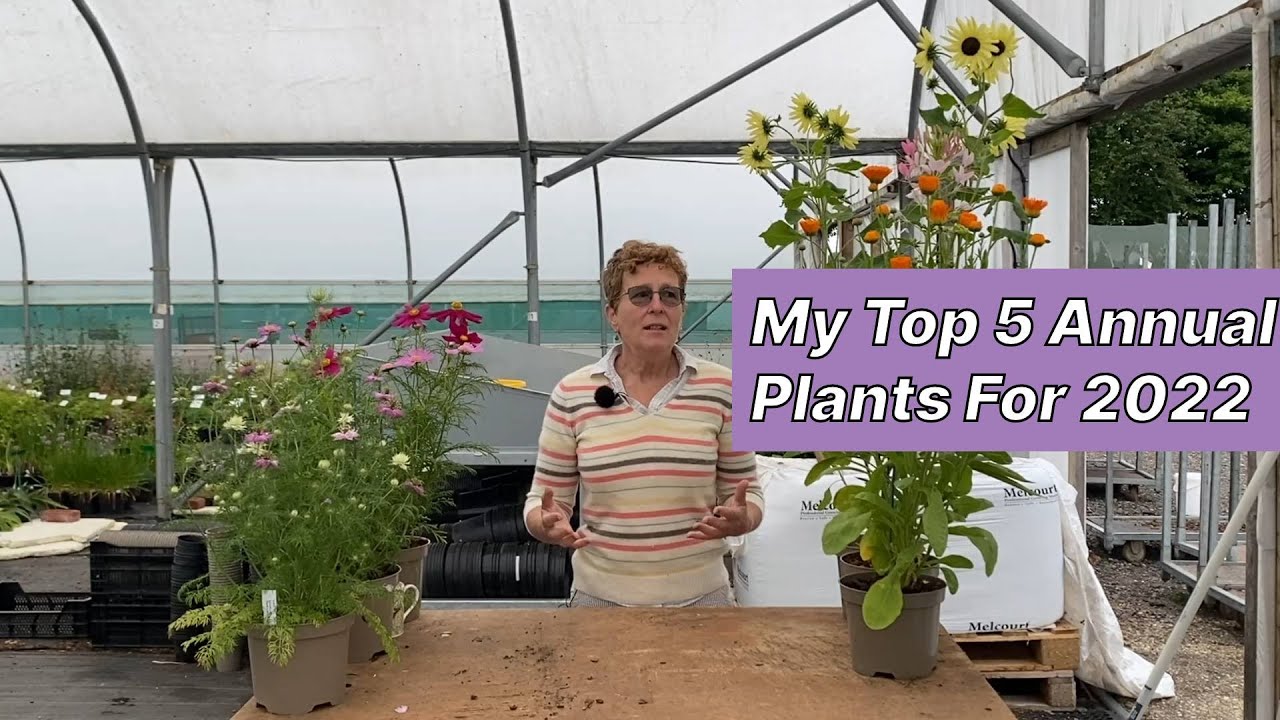 My Top 5 Annual Plants!
