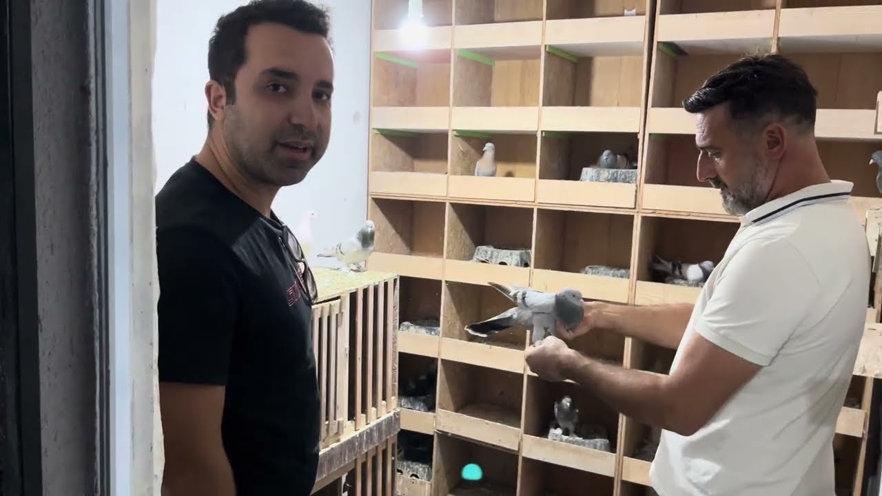 BASRİ AKÇ MESHURKUSLARI BÖLÜM 2
