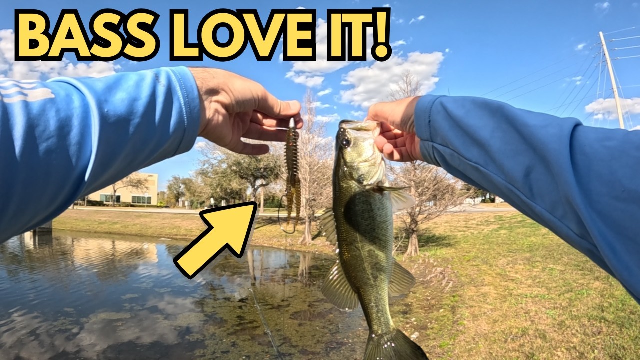 HOT WEATHER TEXAS RIG = Bass DESTRUCTION! (Honey Hole Strikes AGAIN)