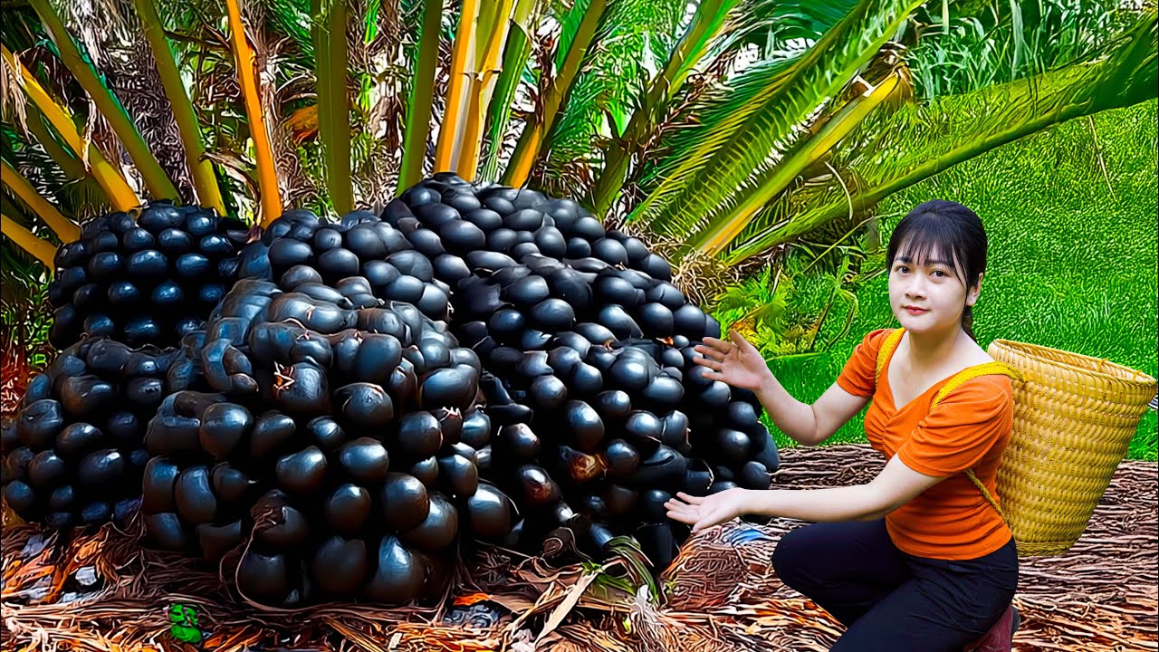 Harvesting Rare Giant Forest Fruits & Making Traditional Grilled Meat | Village Cooking Recipe