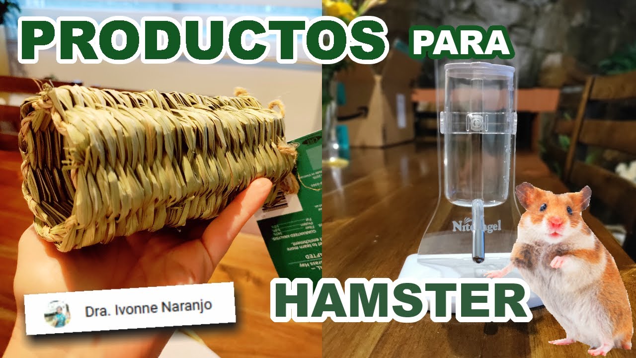Productos Para HAMSTERS - Snacks, Alimentos, Juguetes, Accesorios