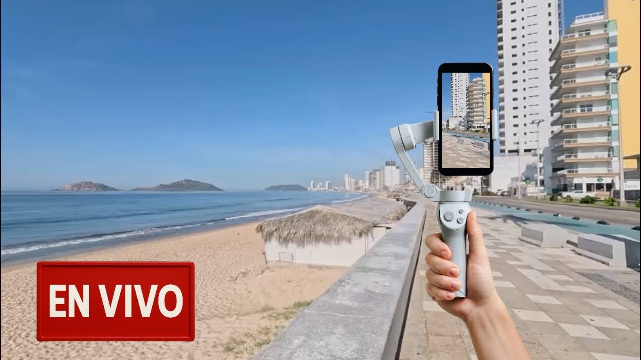 El Pulpo de Mazatlán (y de la CDMX) está en vivo