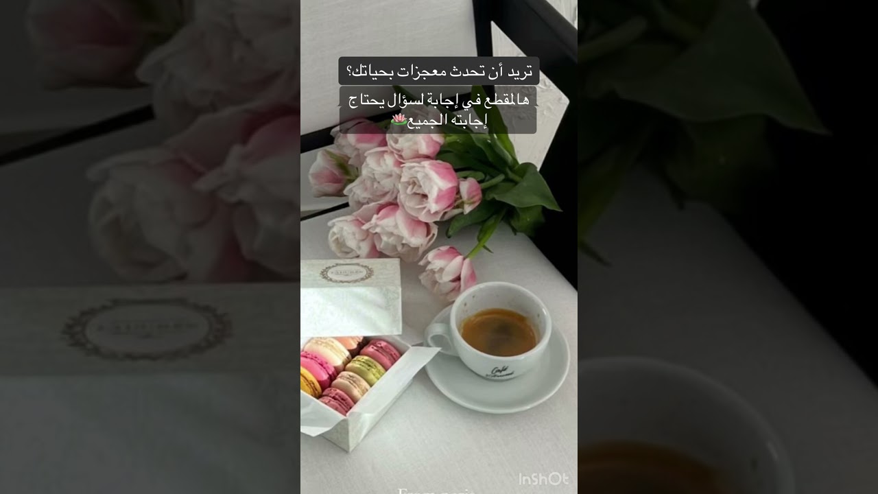 إجابة لسؤال حير الجميع