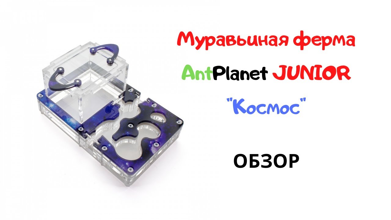 Муравьиная ферма JUNIOR от AntPlanet. Сборка. Обзор.