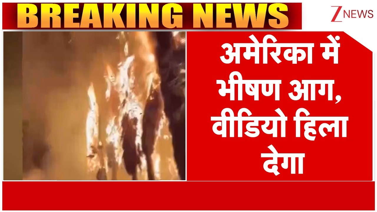America Fire : कैलिफोर्निया में भीषण आग, वीडियो हिला देगा | Breaking News | California | Latest news