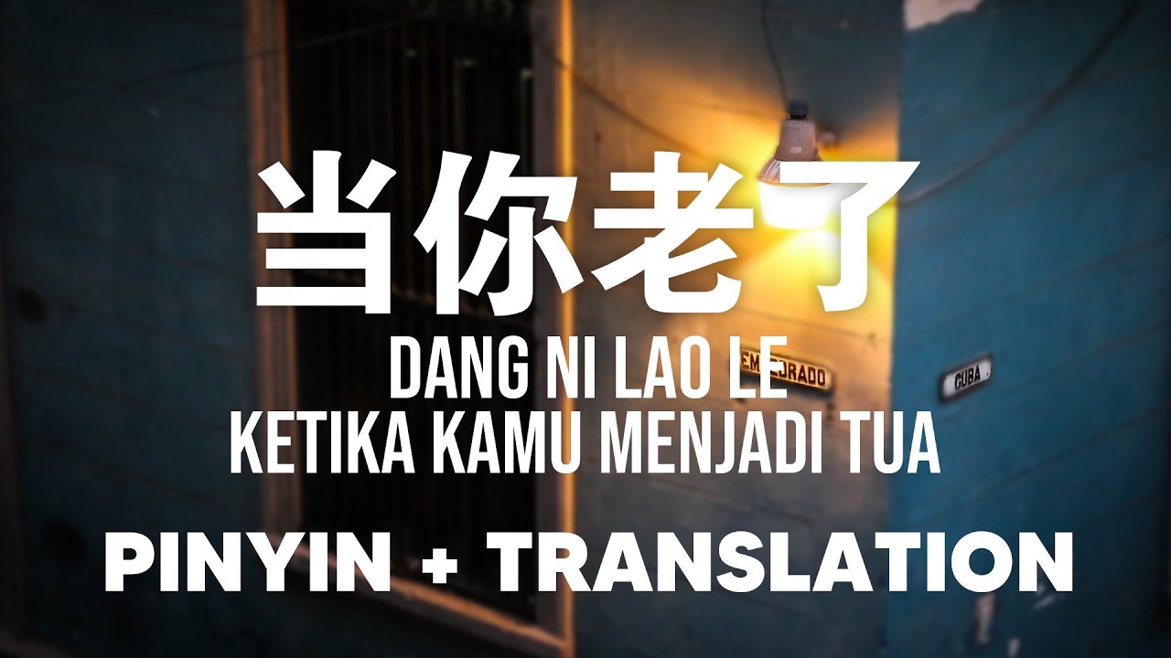 当你老了 Dang Ni Lao Le [Pinyin + Translate]